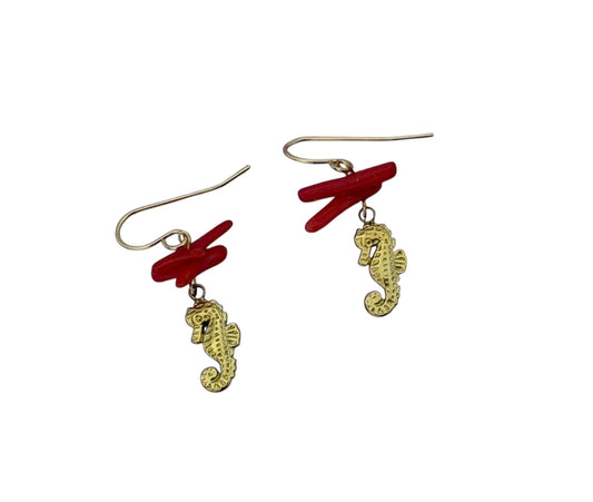 Secret Earrings