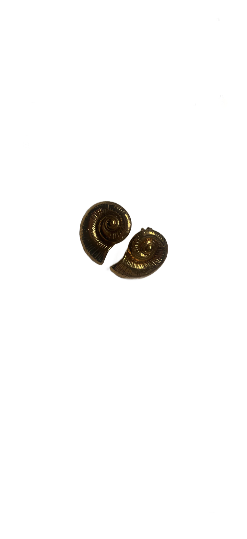Sea Shell Earrings